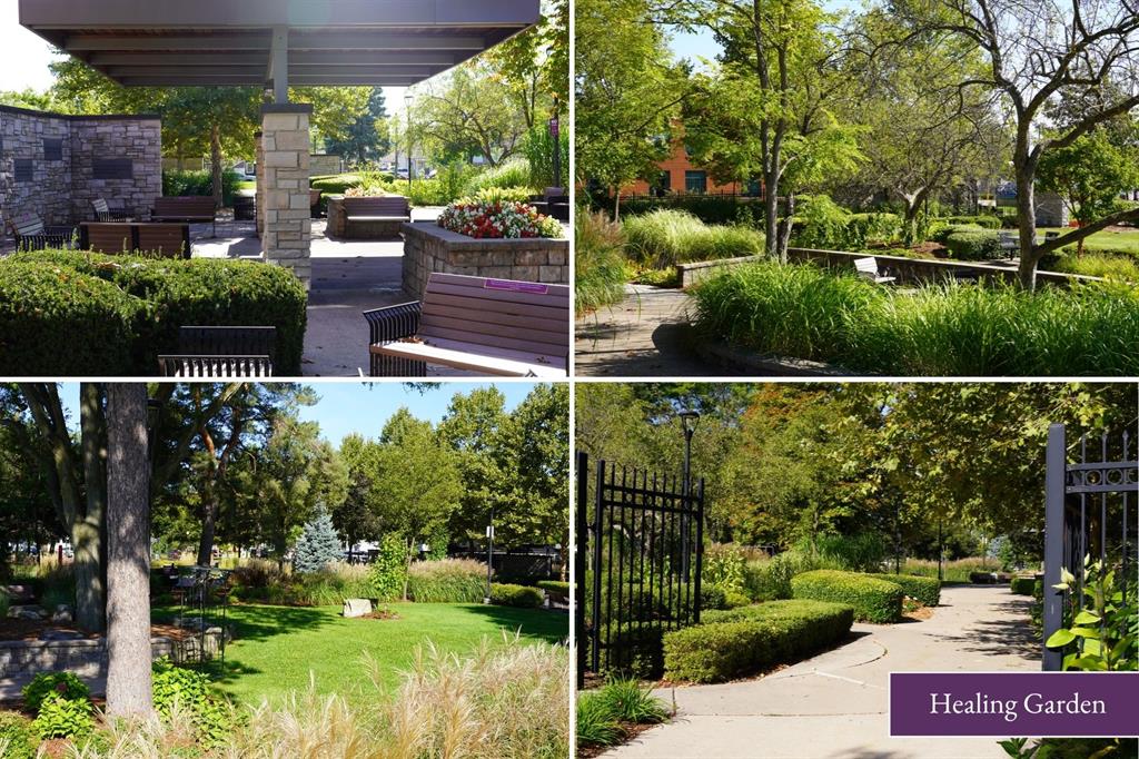 The Healing Garden